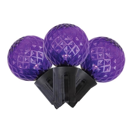 Celebrations Celebrations Purple 25 ct LED G40 Halloween String Lights G4025PL8A